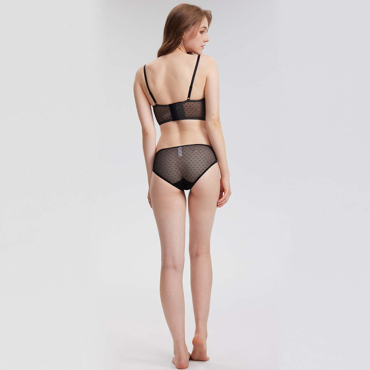 Sheer Embroidered Lace Panty - Rosey Isle