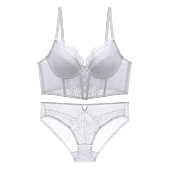 Sheer Embroidered Lace Panty - Rosey Isle