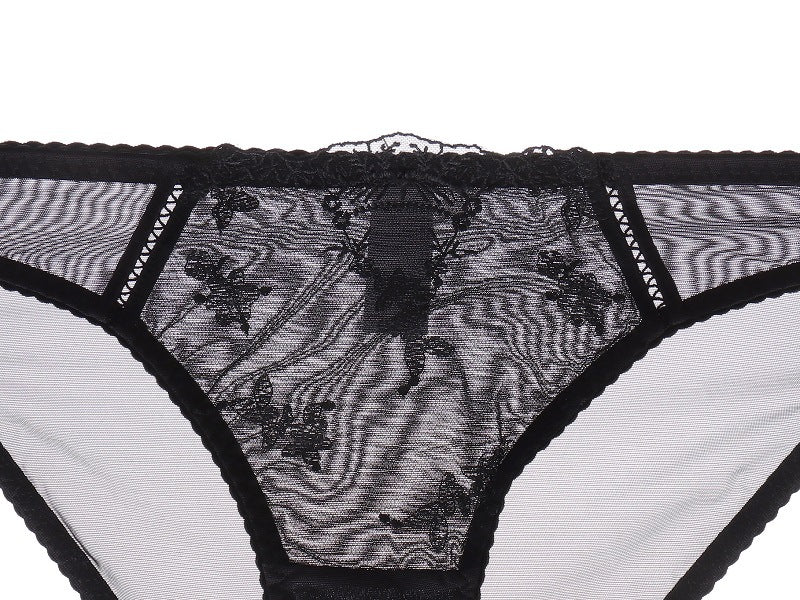 Sheer Embroidered Lace Panty - Rosey Isle